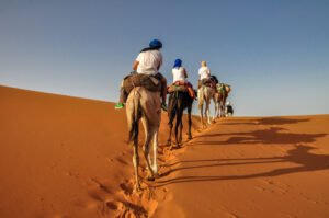 Camel Ride in Timlalin