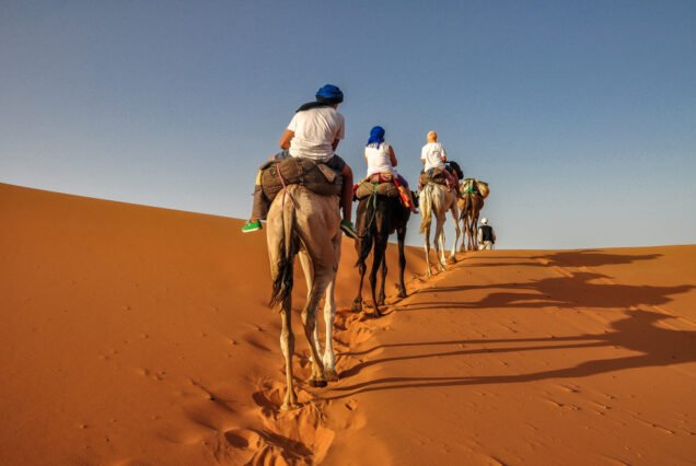 Camel Ride in Timlalin
