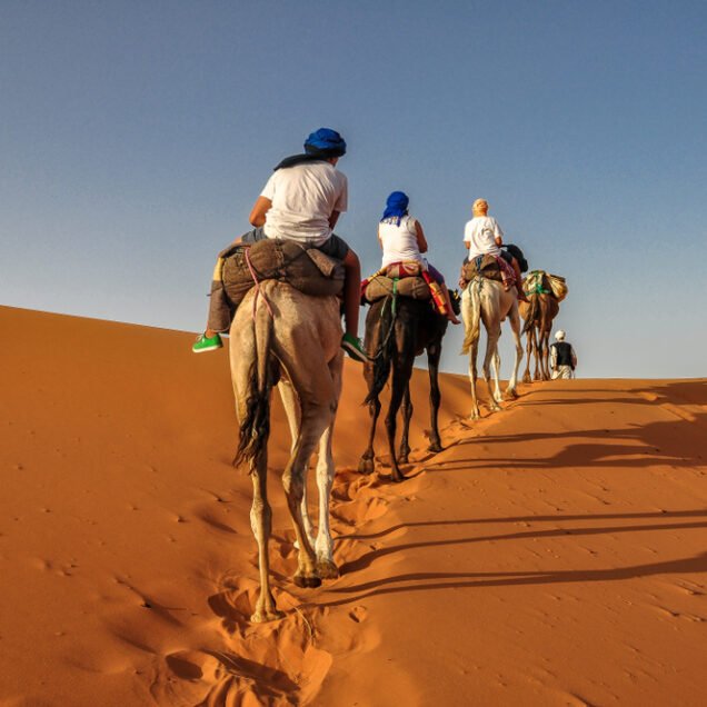 Small Desert camel Timlalin Day Trip