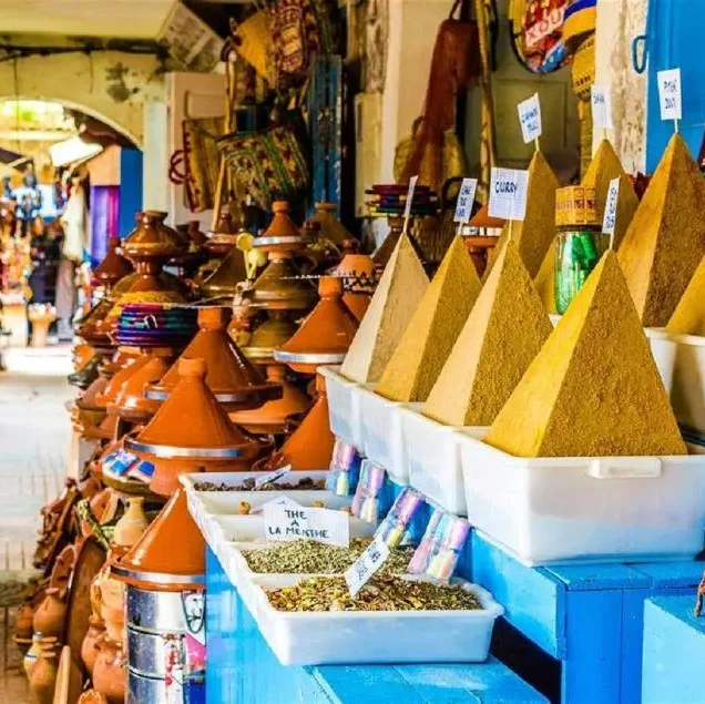 Agadir City Tour from taghazout