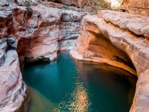 Paradise Valley Day Trip