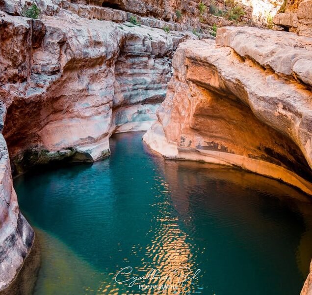 Paradise Valley visit from taghazout