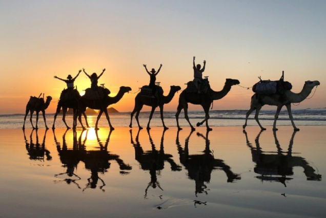 Taghazout Camel Ride