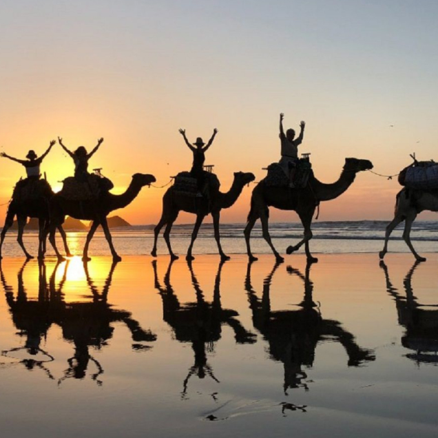Taghazout Camel Ride