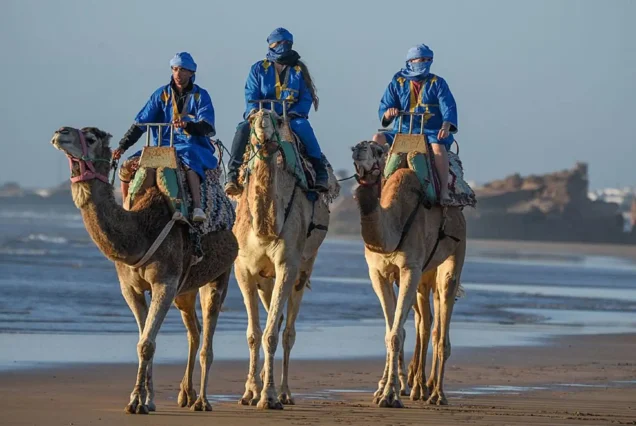 Camel Ride