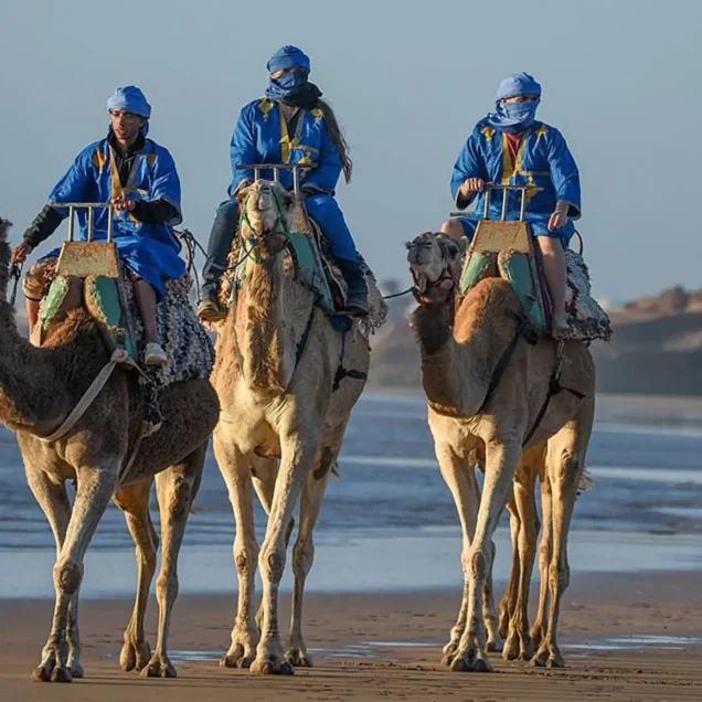 Camel Ride from taghazout